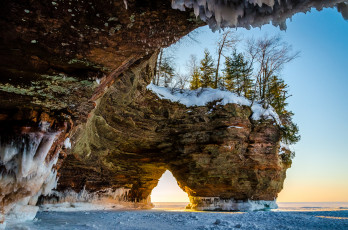 Картинка природа побережье лед деревья скала арка