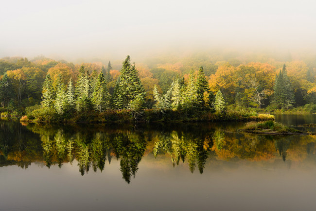 Обои картинки фото природа, реки, озера, лес, туман, река