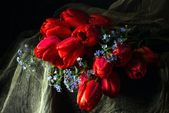 Картинка цветы разные+вместе незабудки тюльпаны
