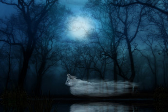 обоя фэнтези, призраки, ночь, лес, фантом, привидение, призрак, ghost