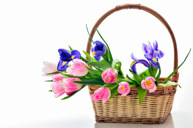 Обои картинки фото цветы, разные вместе, корзинка, тюльпаны, ирисы