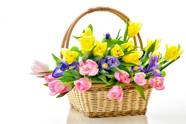 Обои картинки фото цветы, разные вместе, тюльпаны, ирисы, корзинка