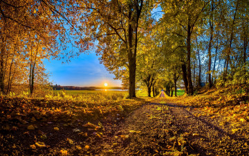 Картинка природа дороги осень