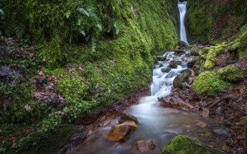 Картинка природа водопады вода водопад поток