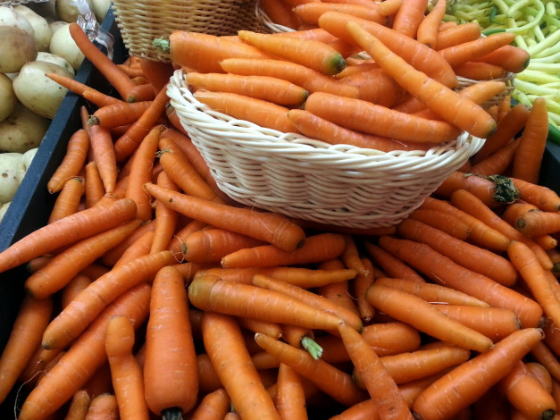 Обои картинки фото еда, морковь, урожай