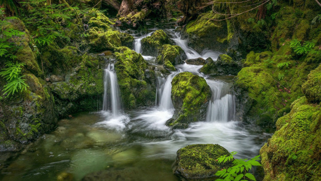 Обои картинки фото nile creek waterfall, british columbia, природа, водопады, nile, creek, waterfall, british, columbia