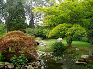 Картинка water garden особняк blithewold сша природа парк сад вода деревья