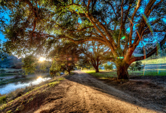 Картинка природа дороги свет река дорога деревья