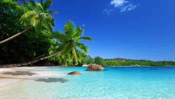 Картинка природа тропики солнце море пальмы песок пляж берег океан небо лодка