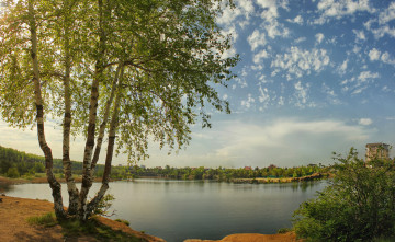 Картинка природа реки озера вода березы
