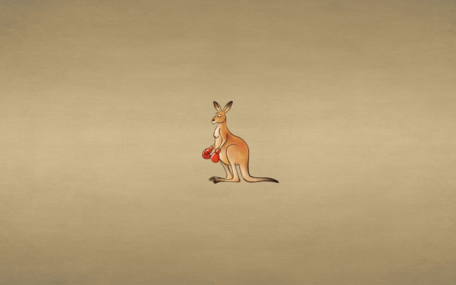 Обои картинки фото рисованные, минимализм, боксерские, перчатки, кенгуру, фон, взгляд, kangaroo