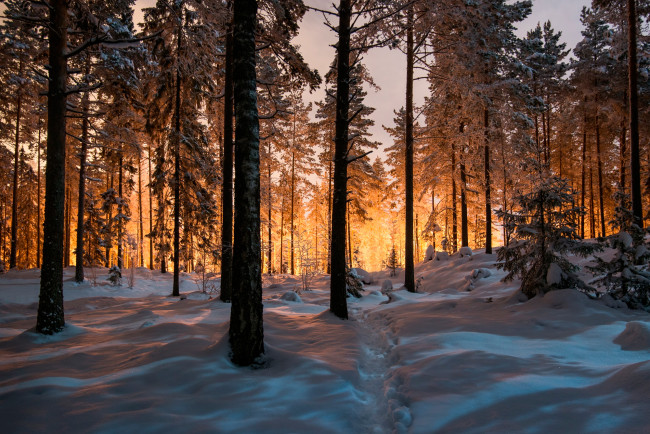 Обои картинки фото природа, зима, тропа, снег