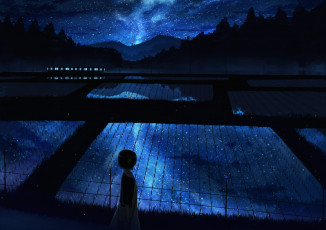 Картинка аниме unknown +другое отражение ночь поля