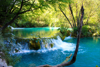 Картинка природа водопады лес каскад водопад река озера