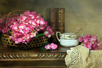 Картинка цветы гортензия розовый книга текстура