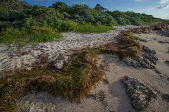 Картинка природа дороги следы камни песок трава