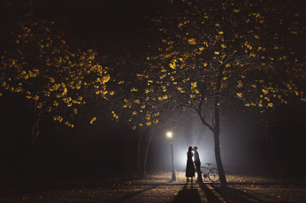 Картинка разное мужчина+женщина пара парень девушка силуэты ночь свет парк деревья любовь поцелуй