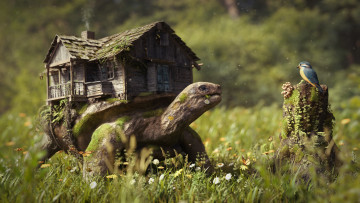 Картинка разное компьютерный+дизайн лес дом черепаха птица пень грибы цветы трава