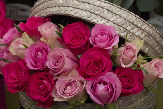 Обои картинки фото цветы, розы, корзинка, бутоны