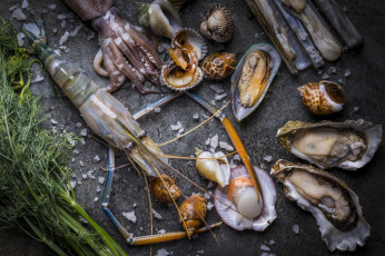 Картинка еда рыба +морепродукты +суши +роллы устрицы креветки морепродукты кальмар моллюски
