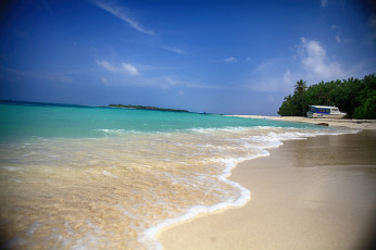 Картинка природа тропики море пляж пальмы вода красота