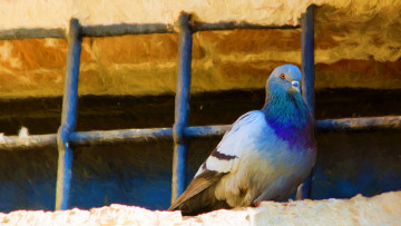 Картинка рисованное животные прутья сетка арт живопись крыша мазки птицы рисунок голубь птица синий