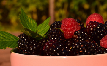 Картинка еда фрукты +ягоды ежевика лето природа чашка сочно много макро миска пиала блеск зелень вкусно малина ягоды листья