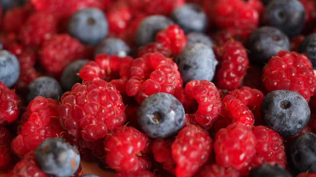 Обои картинки фото еда, фрукты,  ягоды, крупный, план, вкусно, малина, ягоды, черника, размытие, много, макро