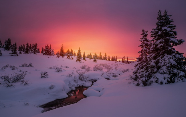 Обои картинки фото природа, зима, широкоформатные, снег, небо, красивые, деревья, вода