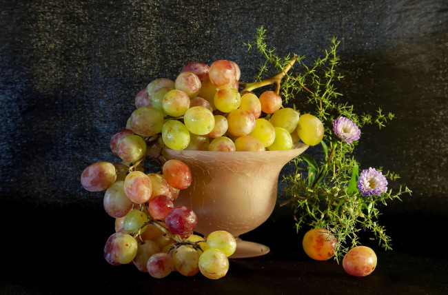 Обои картинки фото еда, виноград, спелый, грозди