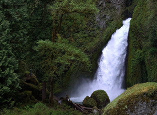 Картинка природа водопады деревья зеленый поток