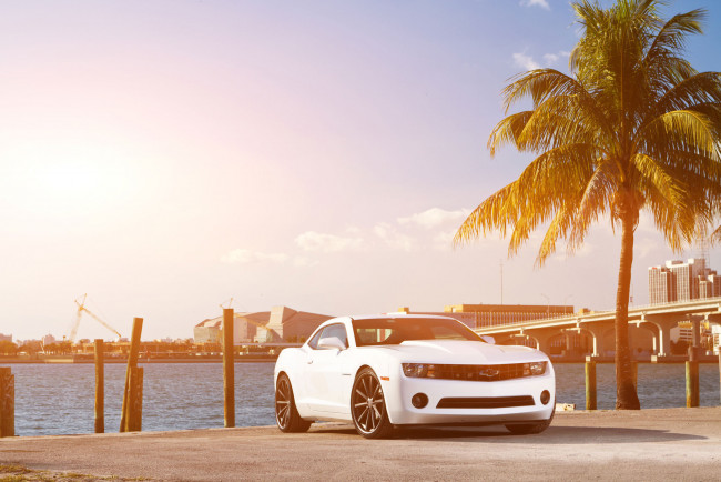 Обои картинки фото chevrolet, camaro, автомобили, пальмы, белый, закат