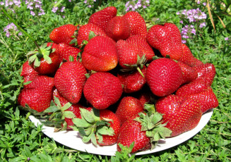 Картинка еда клубника земляника красота лето ягоды