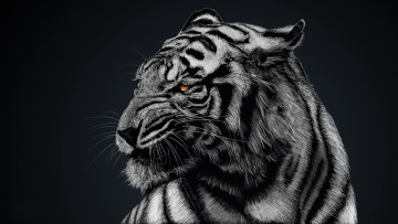 Картинка рисованные животные тигры фон тигр