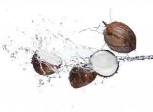 Картинка еда кокос белый фон брызги вода