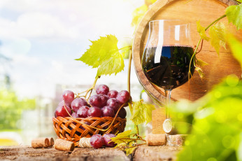 Картинка еда напитки +вино бочка виноград бутылка бокал вино