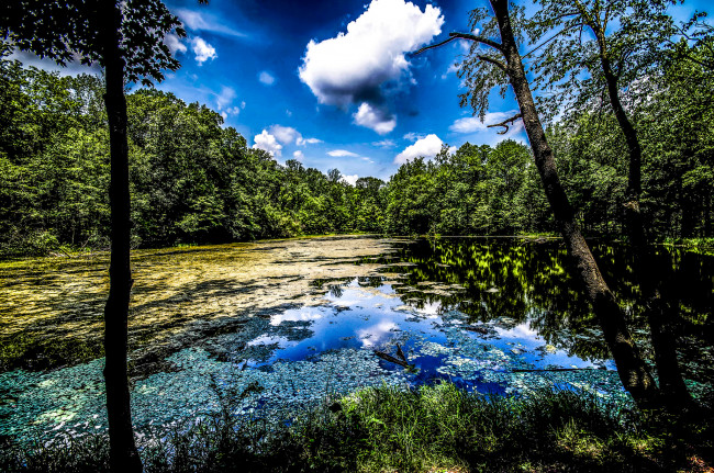 Обои картинки фото природа, реки, озера, облака, озеро, лес