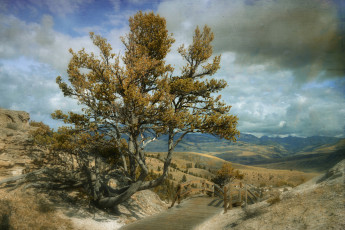 Картинка природа дороги горы дерево дорожка