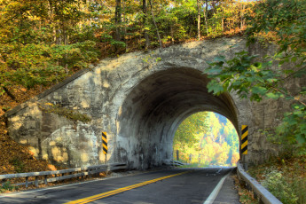 Картинка природа дороги лес шоссе тоннель