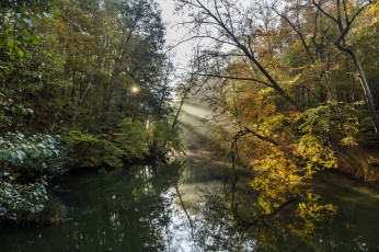 Картинка природа реки озера лес река свет