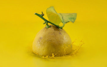 Картинка еда цитрусы фрукт лимон фон