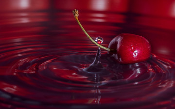 Картинка еда вишня +черешня ягода макро вода капля черешня