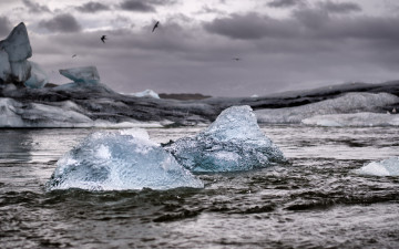 Картинка природа айсберги+и+ледники льдины море чайки айсберг шторм