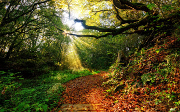 Картинка природа дороги закат трава лучи солнце небо облака цвет пути осень листья лес пейзаж
