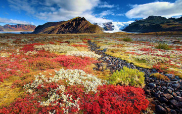 Картинка природа луга камни снег горы цветы луг облака небо осень исландия