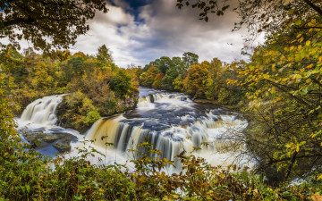 Картинка природа водопады деревья лес осень clyde valley woodlands листья ветки водопад течение камни речка шотландия