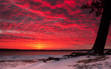 Картинка природа восходы закаты небо зарево дерево облака снег зима