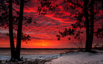 Картинка природа восходы закаты облака зима зарево небо снег деревья