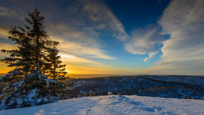 Обои картинки фото природа, зима, деревья, снег, облака, свет