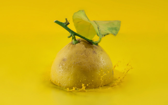 Обои картинки фото еда, цитрусы, фрукт, лимон, фон